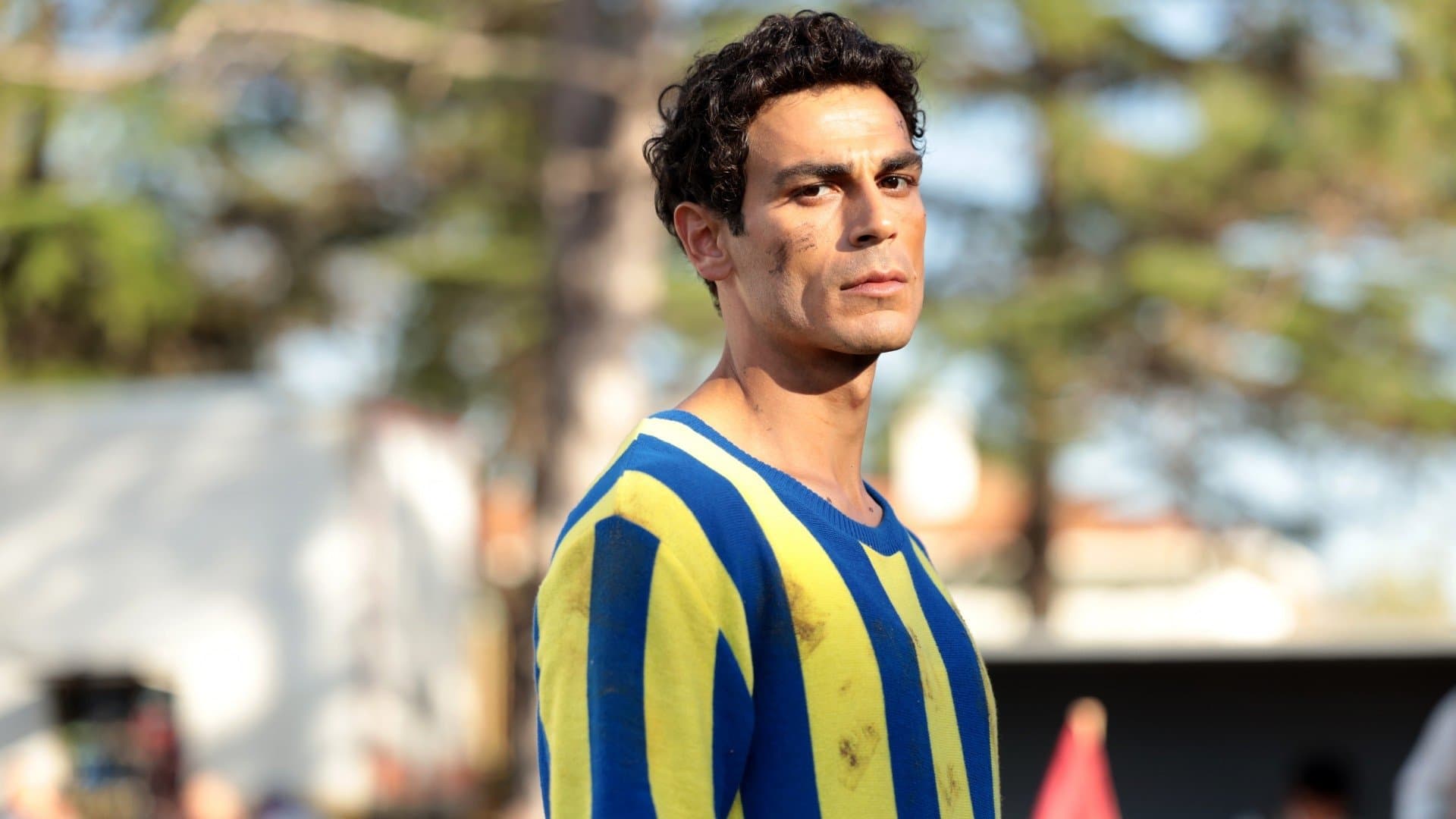 Lefter: O Professor
