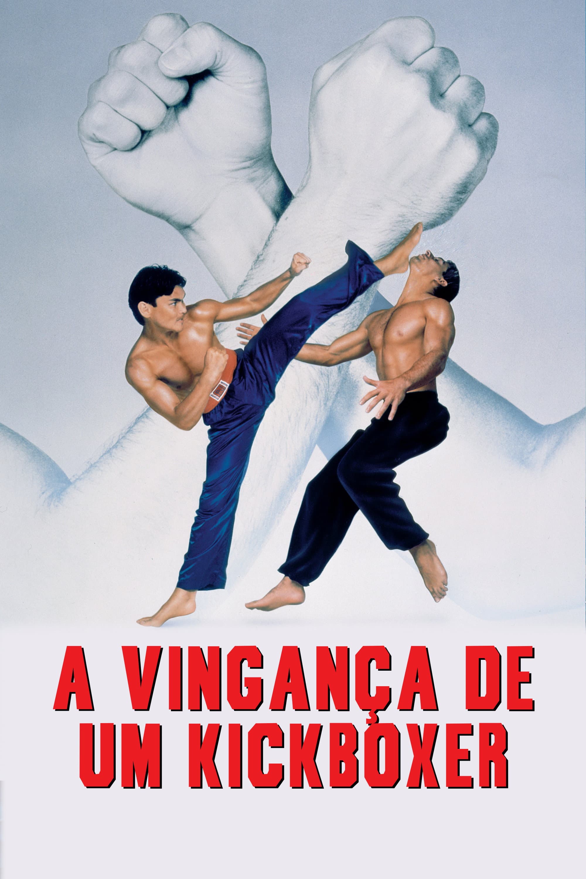 A Vingança de Um Kickboxer