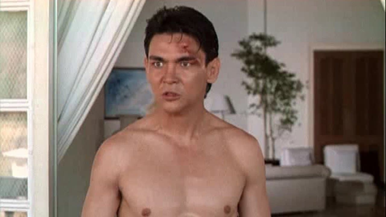 A Vingança de Um Kickboxer